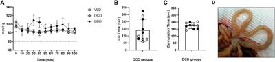 Experimental Assessment of Intestinal Damage in Controlled Donation After Circulatory Death for Visceral Transplantation